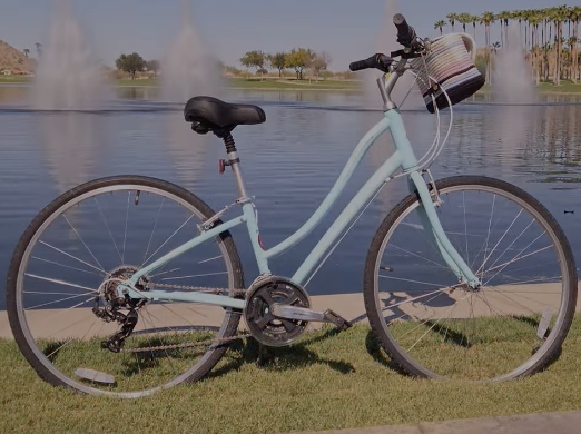 Giant Comfort Bike
